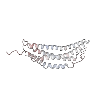 30828_7drw_L_v1-2
Bovine 20S immunoproteasome in complex with two human PA28alpha-beta activators