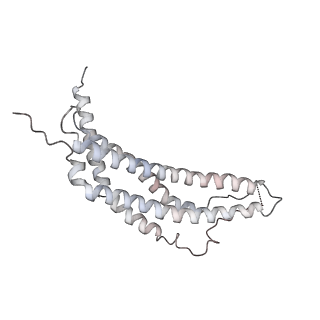 30828_7drw_M_v1-1
Bovine 20S immunoproteasome in complex with two human PA28alpha-beta activators