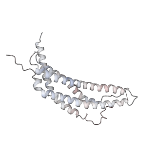 30828_7drw_M_v1-2
Bovine 20S immunoproteasome in complex with two human PA28alpha-beta activators