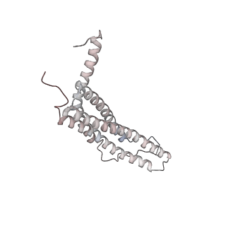 30828_7drw_N_v1-1
Bovine 20S immunoproteasome in complex with two human PA28alpha-beta activators