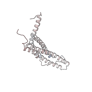 30828_7drw_N_v1-2
Bovine 20S immunoproteasome in complex with two human PA28alpha-beta activators