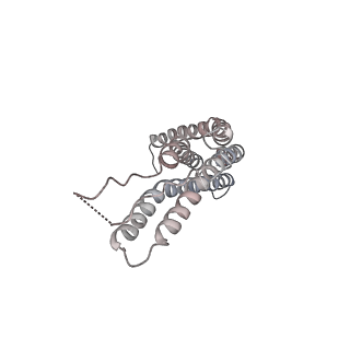 30828_7drw_O_v1-1
Bovine 20S immunoproteasome in complex with two human PA28alpha-beta activators