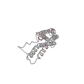 30828_7drw_O_v1-2
Bovine 20S immunoproteasome in complex with two human PA28alpha-beta activators