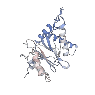 30828_7drw_P_v1-1
Bovine 20S immunoproteasome in complex with two human PA28alpha-beta activators