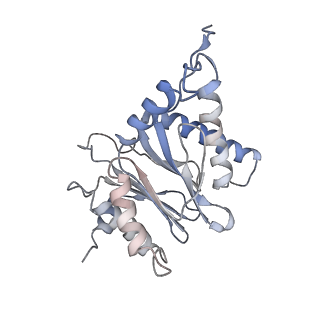 30828_7drw_P_v1-2
Bovine 20S immunoproteasome in complex with two human PA28alpha-beta activators