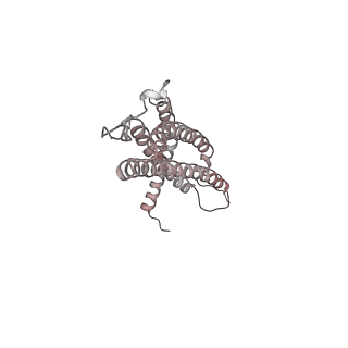 30828_7drw_Q_v1-1
Bovine 20S immunoproteasome in complex with two human PA28alpha-beta activators