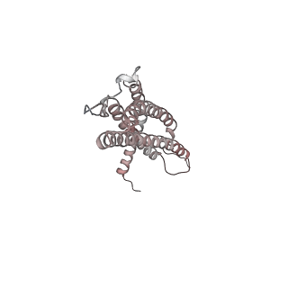 30828_7drw_Q_v1-2
Bovine 20S immunoproteasome in complex with two human PA28alpha-beta activators