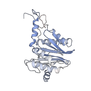 30828_7drw_R_v1-1
Bovine 20S immunoproteasome in complex with two human PA28alpha-beta activators