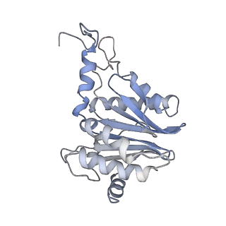 30828_7drw_R_v1-2
Bovine 20S immunoproteasome in complex with two human PA28alpha-beta activators