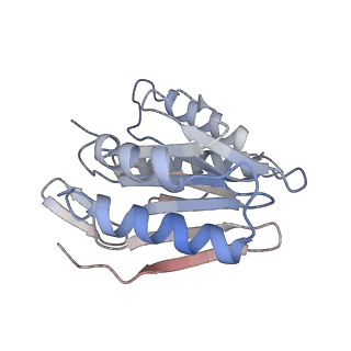 30828_7drw_S_v1-1
Bovine 20S immunoproteasome in complex with two human PA28alpha-beta activators