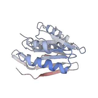 30828_7drw_S_v1-2
Bovine 20S immunoproteasome in complex with two human PA28alpha-beta activators