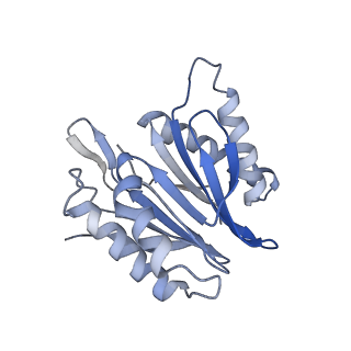 30828_7drw_T_v1-1
Bovine 20S immunoproteasome in complex with two human PA28alpha-beta activators