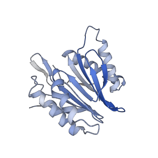 30828_7drw_T_v1-2
Bovine 20S immunoproteasome in complex with two human PA28alpha-beta activators