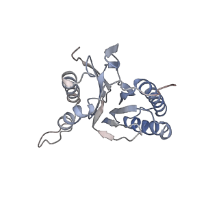 30828_7drw_U_v1-1
Bovine 20S immunoproteasome in complex with two human PA28alpha-beta activators
