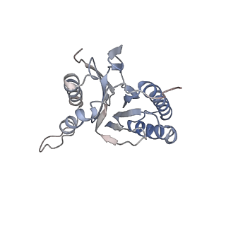 30828_7drw_U_v1-2
Bovine 20S immunoproteasome in complex with two human PA28alpha-beta activators