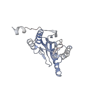 30828_7drw_V_v1-1
Bovine 20S immunoproteasome in complex with two human PA28alpha-beta activators