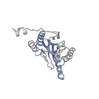 30828_7drw_V_v1-2
Bovine 20S immunoproteasome in complex with two human PA28alpha-beta activators