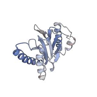 30828_7drw_W_v1-1
Bovine 20S immunoproteasome in complex with two human PA28alpha-beta activators