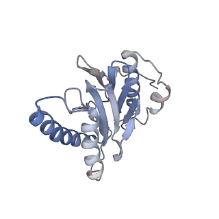 30828_7drw_W_v1-2
Bovine 20S immunoproteasome in complex with two human PA28alpha-beta activators