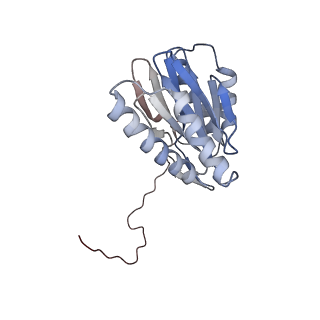 30828_7drw_X_v1-1
Bovine 20S immunoproteasome in complex with two human PA28alpha-beta activators
