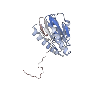 30828_7drw_X_v1-2
Bovine 20S immunoproteasome in complex with two human PA28alpha-beta activators