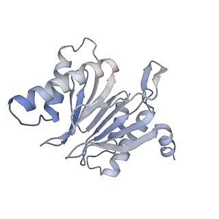 30828_7drw_Y_v1-1
Bovine 20S immunoproteasome in complex with two human PA28alpha-beta activators