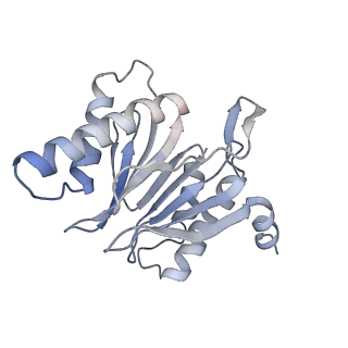 30828_7drw_Y_v1-2
Bovine 20S immunoproteasome in complex with two human PA28alpha-beta activators