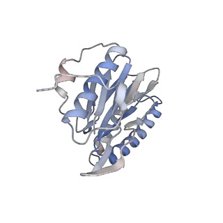 30828_7drw_Z_v1-1
Bovine 20S immunoproteasome in complex with two human PA28alpha-beta activators
