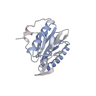 30828_7drw_Z_v1-2
Bovine 20S immunoproteasome in complex with two human PA28alpha-beta activators