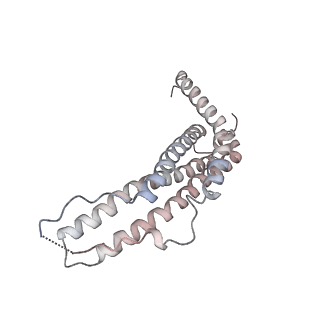 30828_7drw_a_v1-1
Bovine 20S immunoproteasome in complex with two human PA28alpha-beta activators