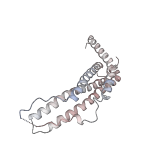 30828_7drw_a_v1-2
Bovine 20S immunoproteasome in complex with two human PA28alpha-beta activators