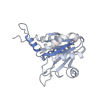 30828_7drw_b_v1-1
Bovine 20S immunoproteasome in complex with two human PA28alpha-beta activators