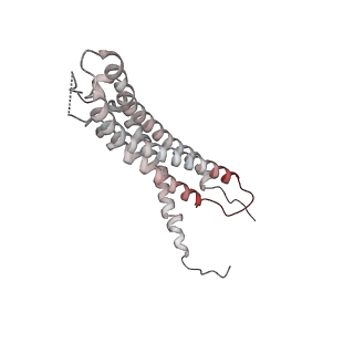 30828_7drw_c_v1-1
Bovine 20S immunoproteasome in complex with two human PA28alpha-beta activators