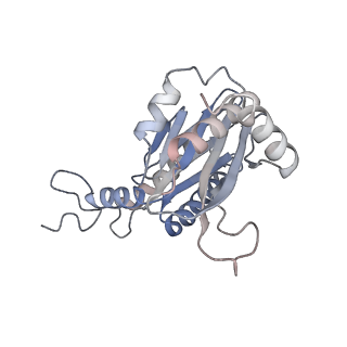30828_7drw_d_v1-1
Bovine 20S immunoproteasome in complex with two human PA28alpha-beta activators