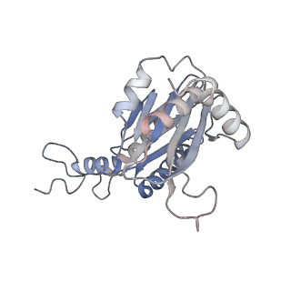 30828_7drw_d_v1-2
Bovine 20S immunoproteasome in complex with two human PA28alpha-beta activators