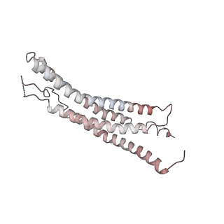 30828_7drw_e_v1-2
Bovine 20S immunoproteasome in complex with two human PA28alpha-beta activators