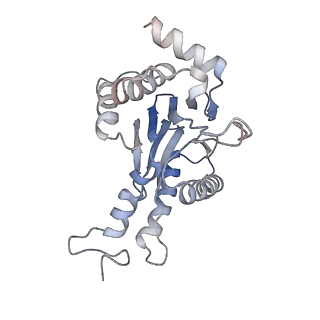 30828_7drw_f_v1-1
Bovine 20S immunoproteasome in complex with two human PA28alpha-beta activators