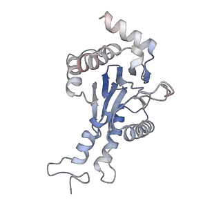 30828_7drw_f_v1-2
Bovine 20S immunoproteasome in complex with two human PA28alpha-beta activators