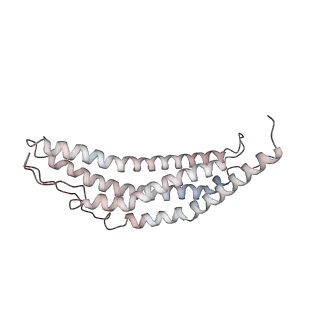 30828_7drw_g_v1-2
Bovine 20S immunoproteasome in complex with two human PA28alpha-beta activators