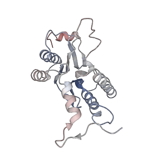 30828_7drw_h_v1-1
Bovine 20S immunoproteasome in complex with two human PA28alpha-beta activators