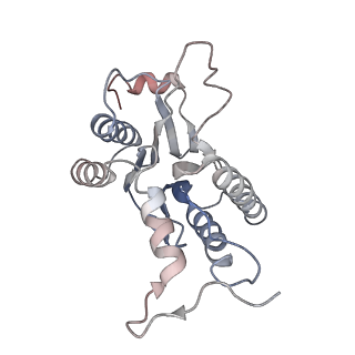 30828_7drw_h_v1-2
Bovine 20S immunoproteasome in complex with two human PA28alpha-beta activators