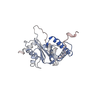 30828_7drw_j_v1-1
Bovine 20S immunoproteasome in complex with two human PA28alpha-beta activators