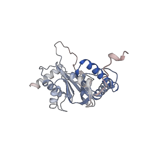 30828_7drw_j_v1-2
Bovine 20S immunoproteasome in complex with two human PA28alpha-beta activators