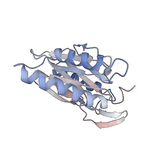 30828_7drw_k_v1-1
Bovine 20S immunoproteasome in complex with two human PA28alpha-beta activators