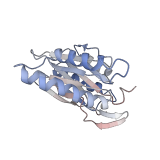 30828_7drw_k_v1-2
Bovine 20S immunoproteasome in complex with two human PA28alpha-beta activators