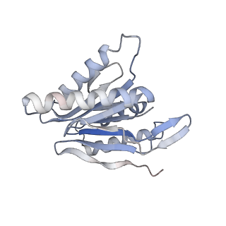 30828_7drw_l_v1-1
Bovine 20S immunoproteasome in complex with two human PA28alpha-beta activators