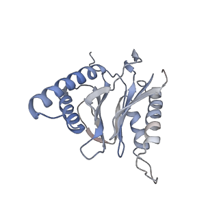 30828_7drw_m_v1-1
Bovine 20S immunoproteasome in complex with two human PA28alpha-beta activators