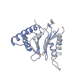 30828_7drw_m_v1-2
Bovine 20S immunoproteasome in complex with two human PA28alpha-beta activators