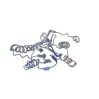 30828_7drw_n_v1-2
Bovine 20S immunoproteasome in complex with two human PA28alpha-beta activators