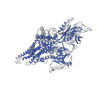 30829_7drx_A_v1-1
Cryo-EM structure of Dnf1 from Saccharomyces cerevisiae in 90PS with beryllium fluoride (E2P state)